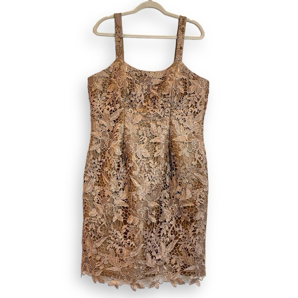 Tina Di Martina Champagne Gold Sleeveless Lace Knee Length Sheath Dress Nwt